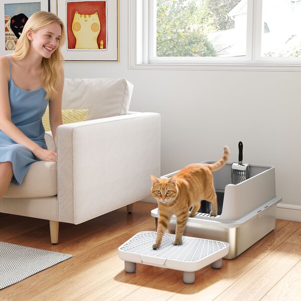 PawHut Cassetta per Lettiera in Acciaio Inossidabile, Pareti Laterali Alte, con Pedale, Tappetini Filtranti e Paletta, 60,2x40,2x29,6 cm, Grigio | Aosom Italy