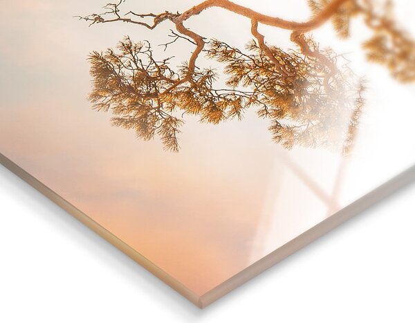 Dipinto su vetro 50x70 cm Brown Tree - Styler