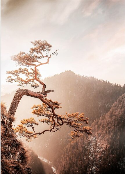 Dipinto su vetro 50x70 cm Brown Tree - Styler
