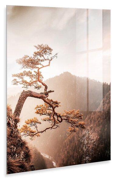 Dipinto su vetro 50x70 cm Brown Tree - Styler