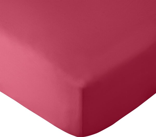 Lenzuolo con angoli rosa scuro in microfibra 185x200 cm So Soft Easy Iron – Catherine Lansfield