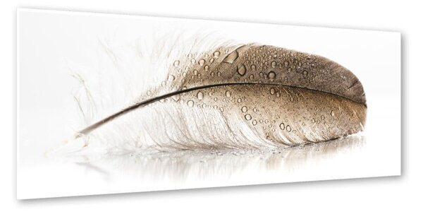 Immagine su tela, 50 x 125 cm Glasspik Wings - Styler