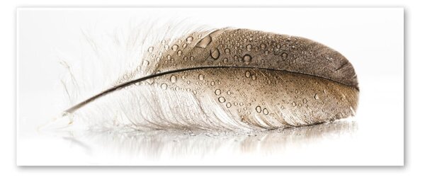Immagine su tela, 50 x 125 cm Glasspik Wings - Styler