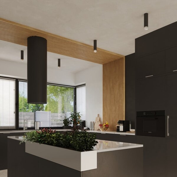 Plafoniera nera/argentata Crown – Sollux