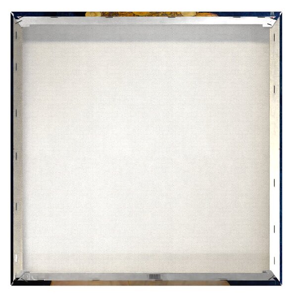 Dipinto 60x60 cm Cobalt Women - Styler