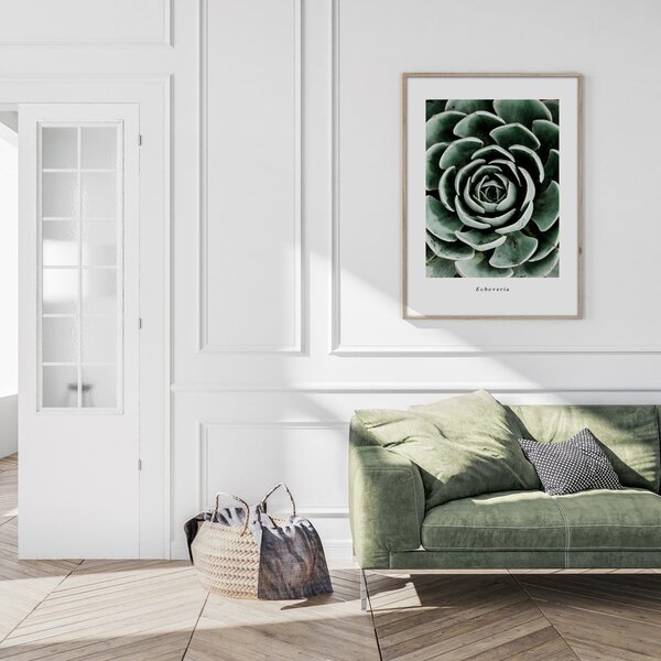 Dipinto 50x70 cm Echeveria – Styler