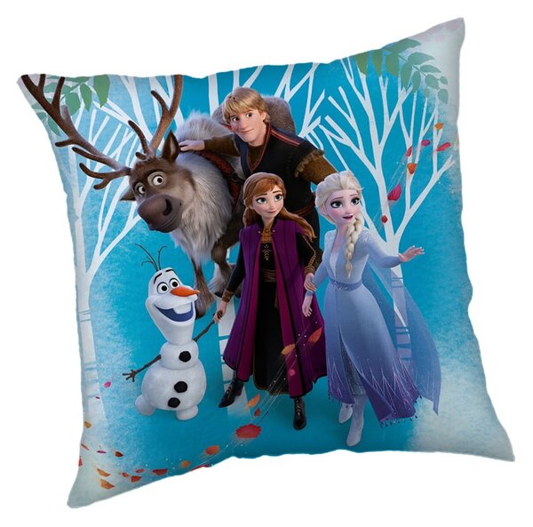 Cuscino per bambini in vello Frozen "Family" – Jerry Fabrics