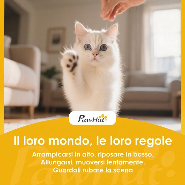 AllMyPets Torre per Gatti a 2 Livelli con 2 Nascondigli Piattaforma Superficie in Sisal 60x60x 61 cm colore Beige/Marrone