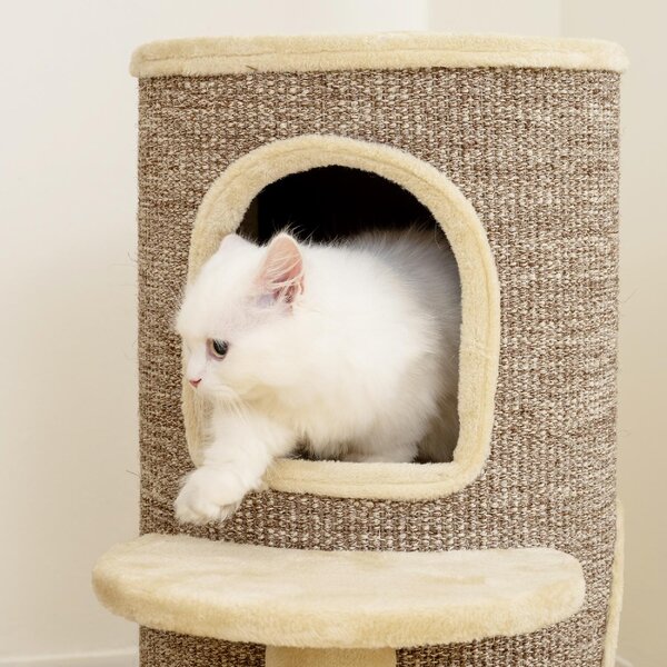 AllMyPets Torre per Gatti a 2 Livelli con 2 Nascondigli Piattaforma Superficie in Sisal 60x60x 61 cm colore Beige/Marrone