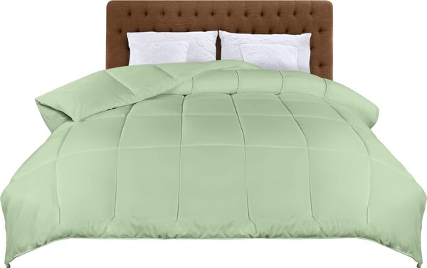 Omgoods - Piumino leggero - Piumino estivo - Morbido e confortevole - Verde salvia - Imbottito in poliestere - Ideale per adulti - 220x