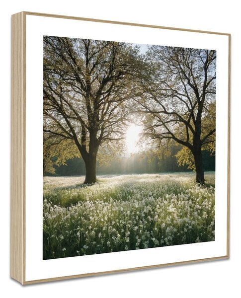 Quadri in set di 4 30x30 cm Sunrise Hike