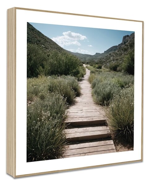 Quadri in set di 4 30x30 cm Sunrise Hike