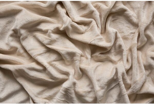 Lenzuolo con angoli color crema in microflanella 180x200 cm Basic – Jerry Fabrics