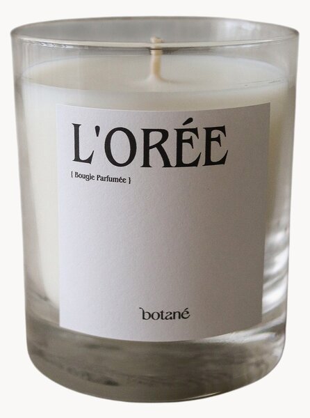 Candela profumata L'Orée (pepe nero, gelsomino sambac e nocciola)