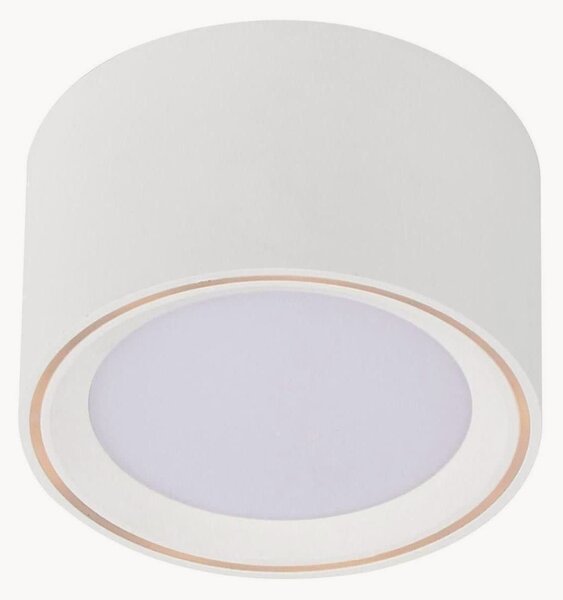 Faretto da soffitto a LED