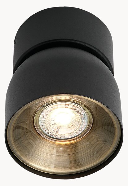 Faretto da soffitto con luce regolabile Pitcher