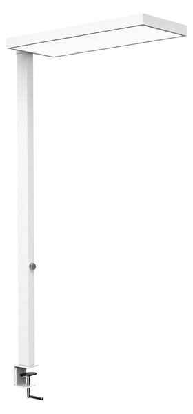 Maul Lampada con morsetto MAULjura, dimmerabile, Bianco / Opale, Studio / Ufficio, Alluminio, Moderno, Lampada con morsetto