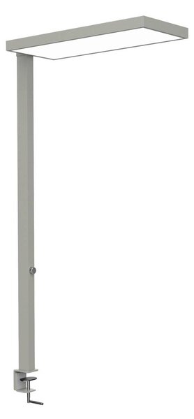 Maul Lampada con morsetto MAULjura, dimmerabile, Cromo / Argento, Studio / Ufficio, Alluminio, Moderno, Lampada con morsetto