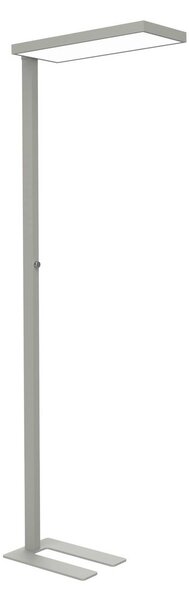 Maul Lampada da terra a LED MAULjura, dimmerabile, Cromo / Argento, Studio / Ufficio, Alluminio, Moderno, Lampada LED da terra