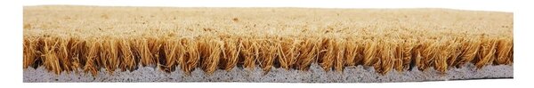 Zerbino in fibre di cocco 40x60 cm Midnight Garden x Celia Battaini – Artsy Doormats