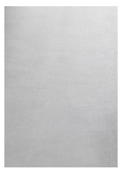 Tappeto lavabile grigio chiaro 80x150 cm Sky - Ayyildiz Carpets