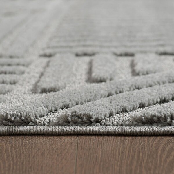 Tappeto rotondo grigio chiaro ø 120 cm Art - Ayyildiz Carpets
