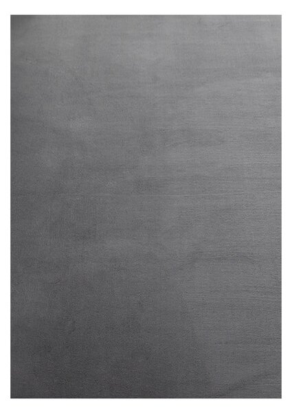 Tappeto lavabile grigio 60x110 cm Sky - Ayyildiz Carpets