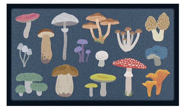 Zerbino 40x70 cm Mixed Wild Mushroom – Artsy Doormats