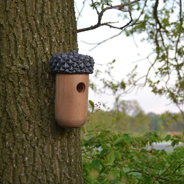 Casetta per uccelli a forma di ghianda Acorn - Esschert Design