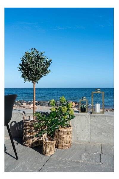 Pianta finta (altezza totale 60 cm) Fig – House Nordic