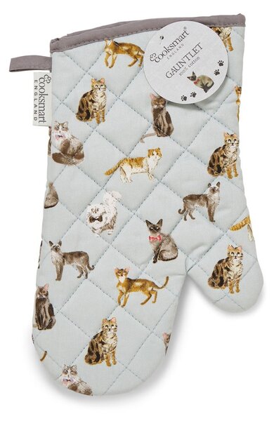 Guanti da cucina in cotone blu Curious Cats - Cooksmart ®