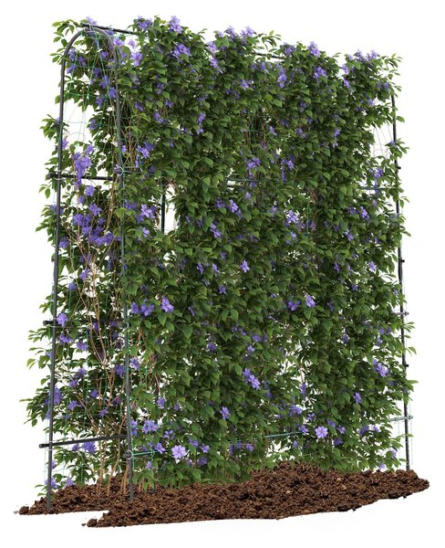 Costway Supporto per piante rampicanti ad arco a forma di U, Trellis alto per cetrioli da letto rialzato 179 x 180 cm