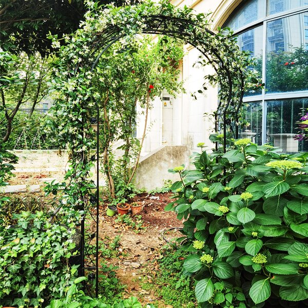 Costway Arco da giardino 251,5cm con traliccio 2 mezzi archi, Traliccio da patio pergola in metallo per decorazioni Nero
