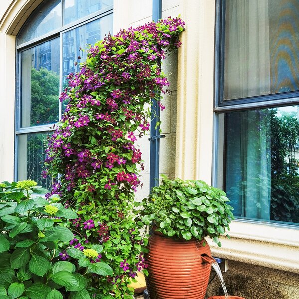 Costway Arco da giardino 251,5cm con traliccio 2 mezzi archi, Traliccio da patio pergola in metallo per decorazioni Nero