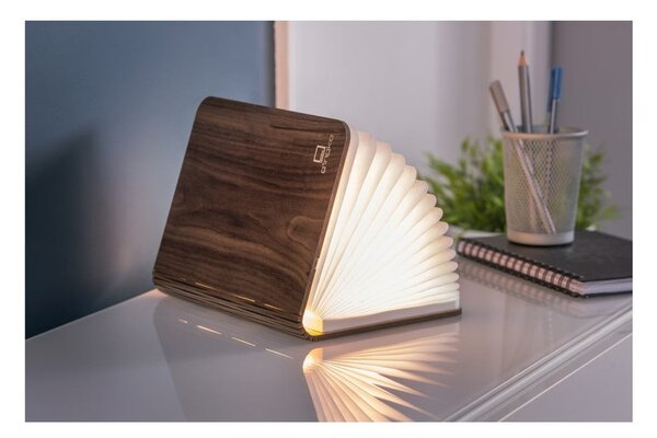 Decorazione luminosa marrone con ricarica USB Booklight – Gingko