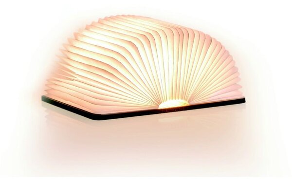 Decorazione luminosa di colore naturale con ricarica USB Booklight – Gingko