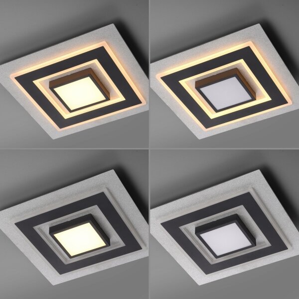 JUST LIGHT. 14439-21 - Plafoniera LED CICHIO LED/18,5W/230V + LED/9W nera