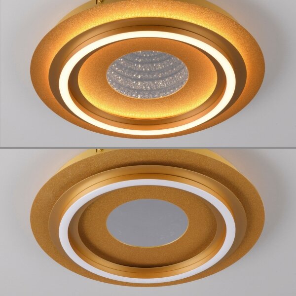 JUST LIGHT. 15089-60 - Plafoniera LED CICHIO LED/36W/230V dorata