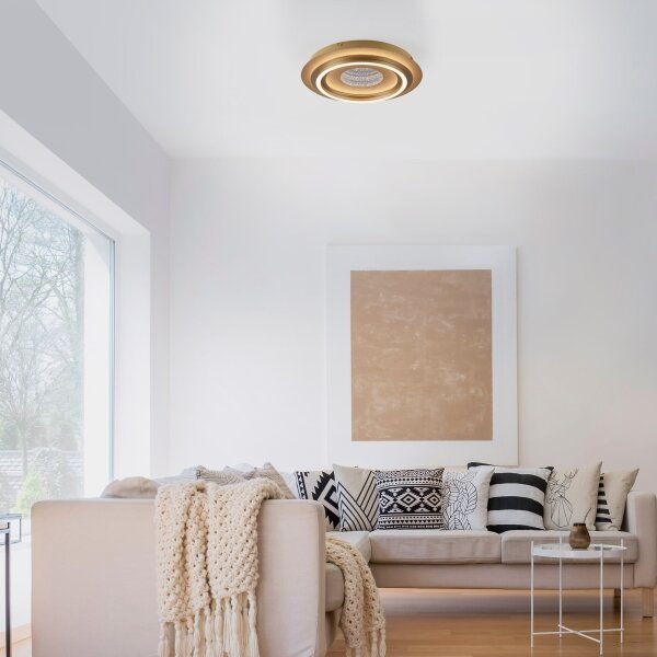 JUST LIGHT. 15089-60 - Plafoniera LED CICHIO LED/36W/230V dorata