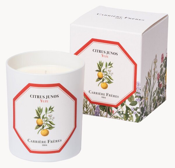 Candela profumata Yuzu (fresca, piccante, tonificante)