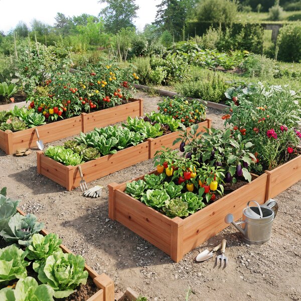 Costway Fioriera rettangolare da esterno in legno, Orto rialzato da giardino per ortaggi fiori piante aromatiche e frutta Marrone