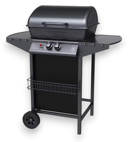 Barbecue a gas 2 fuochi con pietra lavica per esterno