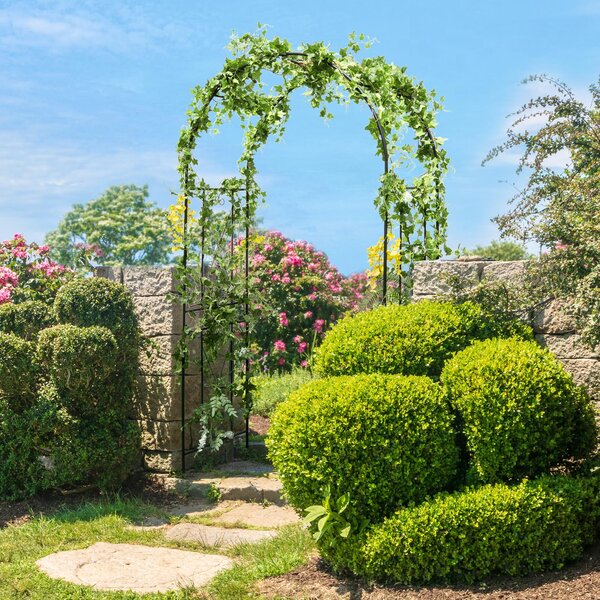 Costway Arco giardino metallo resistente piante rampicanti rose viti grigliato, Arco decorazioni matrimoni feste supporto piante cortile patio 220 cm