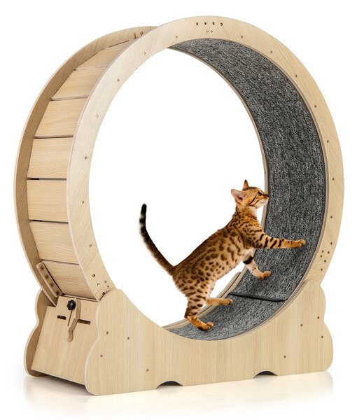 Costway Ruota esercizio gatti interno meccanismo blocco corsa moquette rimovibile, Ruota allenamento legno rumore ultra basso 101 cm
