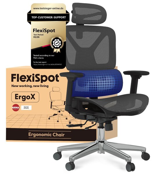 FLEXISPOT ErgoX Sedia da ufficio ergonomica Sedia da scrivania Braccioli 3D e poggiatesta Schienale regolabile in 5 direzioni Portata massima di 136 kg Grigio
