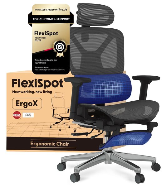 FLEXISPOT ErgoX: sedia da ufficio ergonomica con poggiapiedi, braccioli 3D e poggiatesta, schienale regolabile in 5 direzioni, portata massima di 136 kg, colore grigio