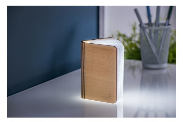 Decorazione luminosa di colore naturale con ricarica USB Booklight – Gingko