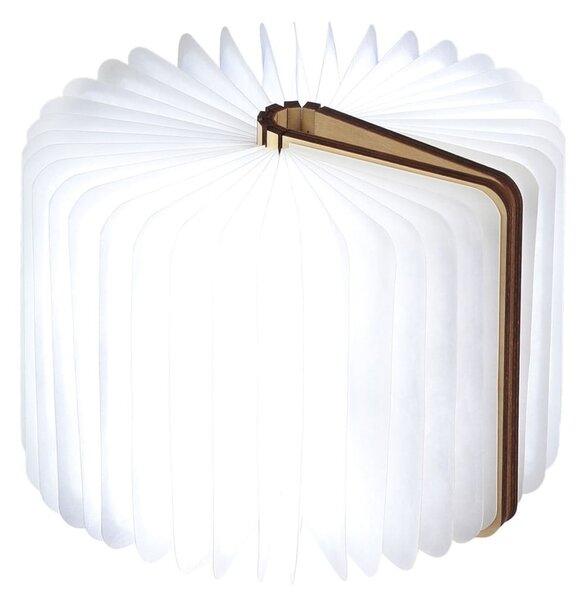 Decorazione luminosa di colore naturale con ricarica USB Booklight – Gingko
