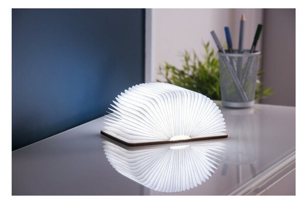 Decorazione luminosa di colore naturale con ricarica USB Booklight – Gingko