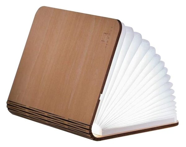 Decorazione luminosa di colore naturale con ricarica USB Booklight – Gingko